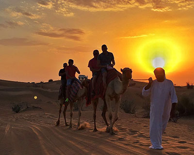 Desert Safari